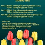 Read more about the article Lietuvos nepriklausomybės atkūrimo dienos minėjimas Šalčininkų rajone