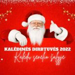 Read more about the article Kalėdinės dirbtuvės 2022 „Kalėdų Senelio šalyje“!