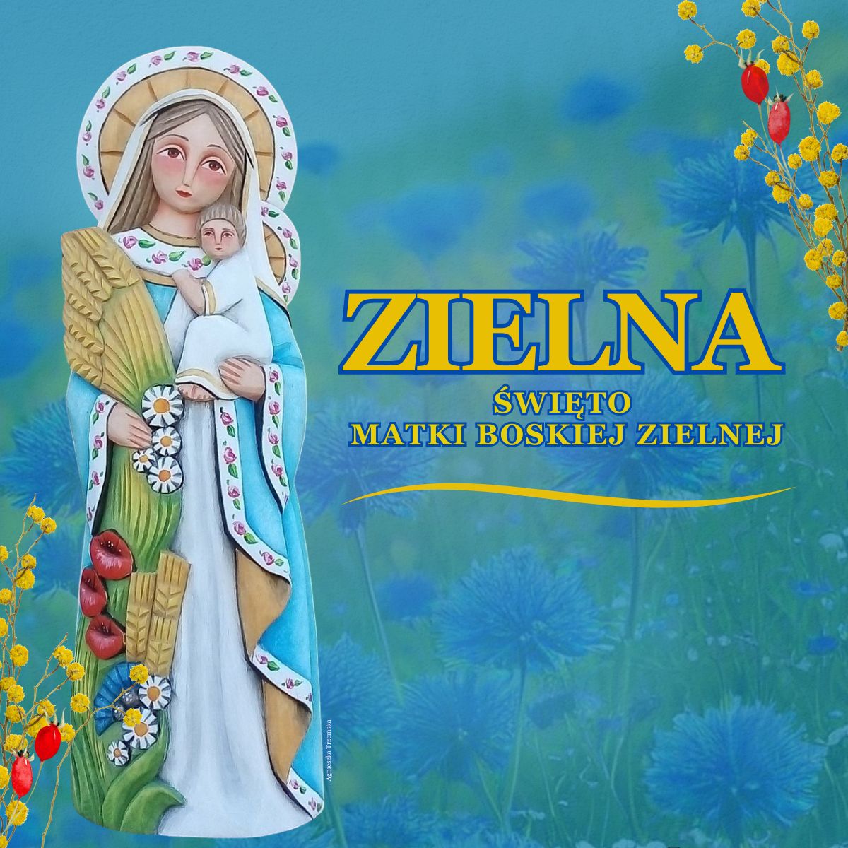 You are currently viewing ZIELNA