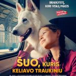 Read more about the article Filmas „ŠUO, KURIS KELIAVO TRAUKINIU”