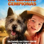Read more about the article Filmas „Mažasis čempionas”