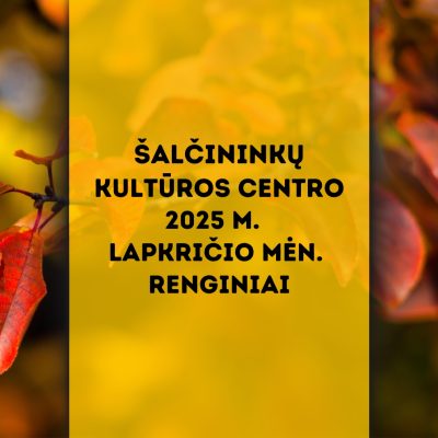 2025 m. lapkričio mėn. renginiai